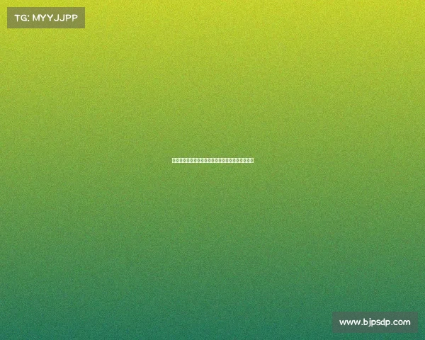 西甲各大球场容量排行榜：哪些球场能容纳最多球迷